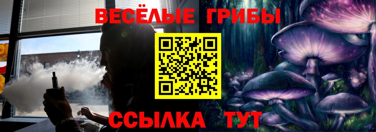 Псилоцибиновые грибы Cubensis  Вход с VPN  Топки 